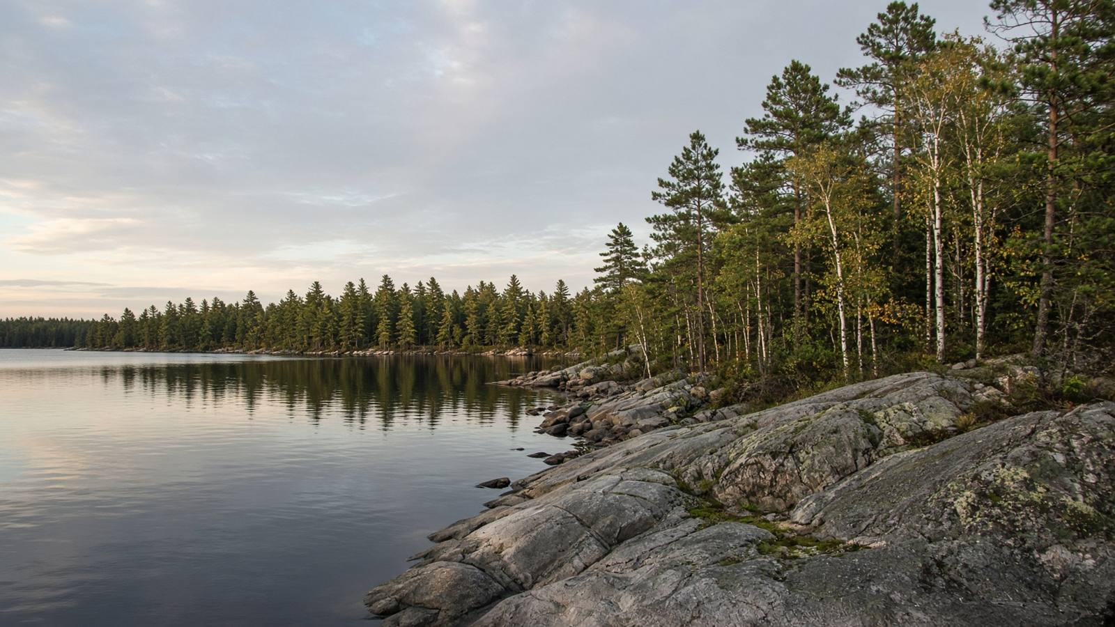 Calm Northern Ontario lakeshore with granite rock and mixed forest